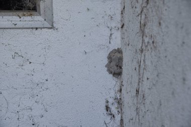Duvarda ya da pencere çerçevesinde çamur damlası var