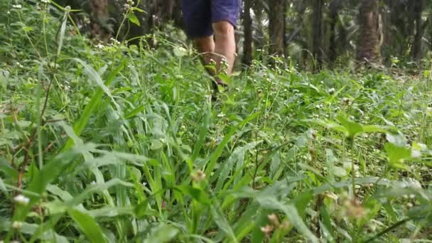 Tipo Anónimo Caminando Campo Hierba — Vídeos de Stock