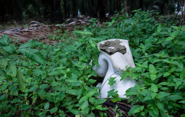 在农场的灌木丛中摆放好马桶座 — 图库照片