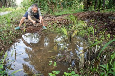 İzole edilmiş çiftlik havuzunda cep telefonuyla fotoğraf çeken bir adam..