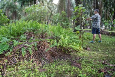 İzole edilmiş çiftlik havuzunda cep telefonuyla fotoğraf çeken bir adam..