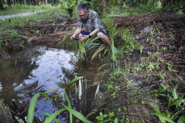 İzole edilmiş çiftlik havuzunda cep telefonuyla fotoğraf çeken bir adam..