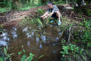 İzole edilmiş çiftlik havuzunda cep telefonuyla fotoğraf çeken bir adam..