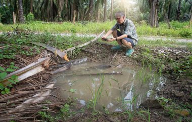 İzole edilmiş çiftlik havuzunda cep telefonuyla fotoğraf çeken bir adam..