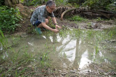 İzole edilmiş çiftlik havuzunda cep telefonuyla fotoğraf çeken bir adam..