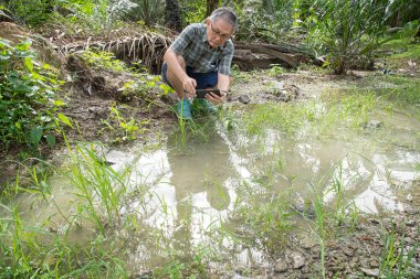 İzole edilmiş çiftlik havuzunda cep telefonuyla fotoğraf çeken bir adam..