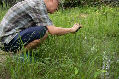 İzole edilmiş çiftlik havuzunda cep telefonuyla fotoğraf çeken bir adam..