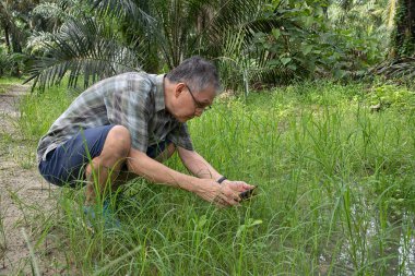 İzole edilmiş çiftlik havuzunda cep telefonuyla fotoğraf çeken bir adam..