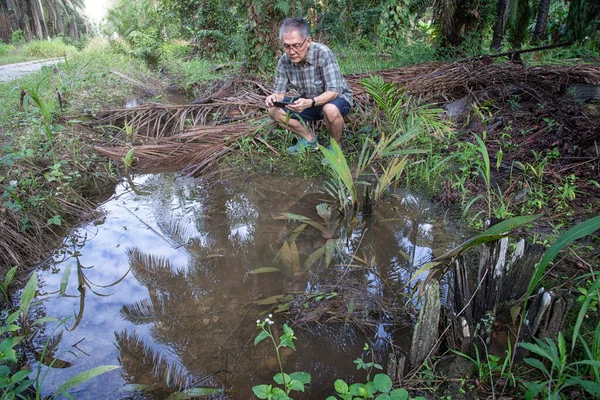 İzole edilmiş çiftlik havuzunda cep telefonuyla fotoğraf çeken bir adam..