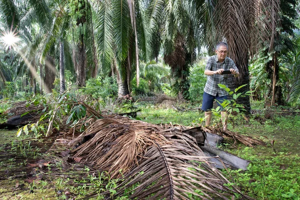 İzole edilmiş çiftlik havuzunda cep telefonuyla fotoğraf çeken bir adam..