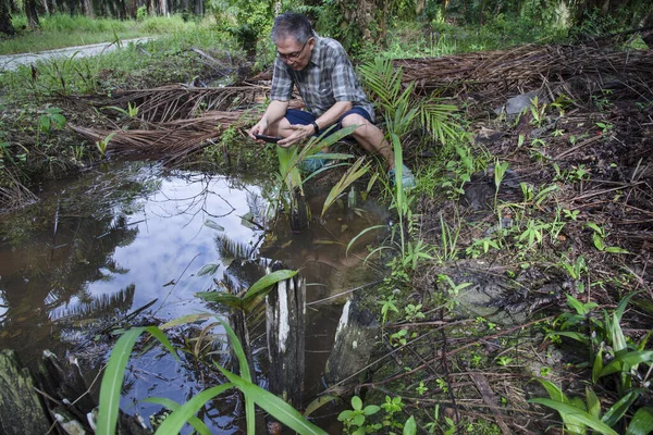 İzole edilmiş çiftlik havuzunda cep telefonuyla fotoğraf çeken bir adam..