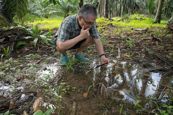İzole edilmiş çiftlik havuzunda cep telefonuyla fotoğraf çeken bir adam..