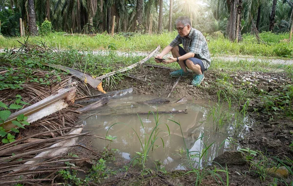 İzole edilmiş çiftlik havuzunda cep telefonuyla fotoğraf çeken bir adam..