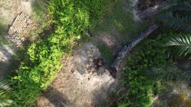 footage of the ascending flight as looking below the agriculture ground.