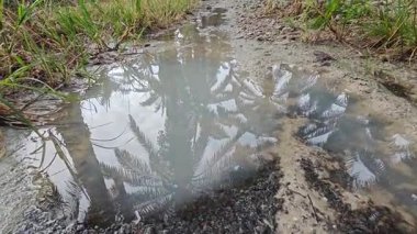 Kırsal toprak yolda sağanak yağış sonrasında durgun su havuzu yansıtıyor. 