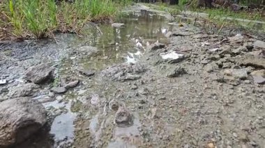 Kırsal toprak yolda sağanak yağış sonrasında durgun su havuzu yansıtıyor. 