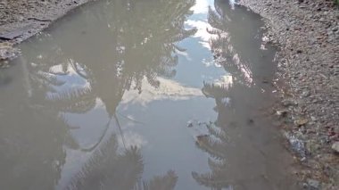 Kırsal toprak yolda sağanak yağış sonrasında durgun su havuzu yansıtıyor. 