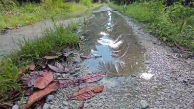 Kırsal toprak yolda sağanak yağış sonrasında durgun su havuzu yansıtıyor. 