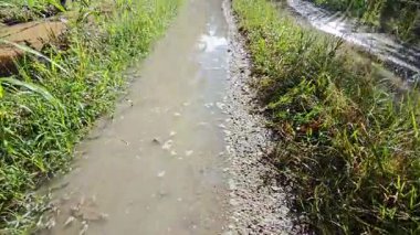 Kırsal toprak yolda sağanak yağış sonrasında durgun su havuzu yansıtıyor. 