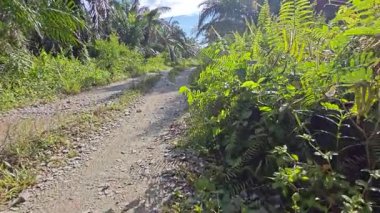 Kırsal toprak yolda sağanak yağış sonrasında durgun su havuzu yansıtıyor. 