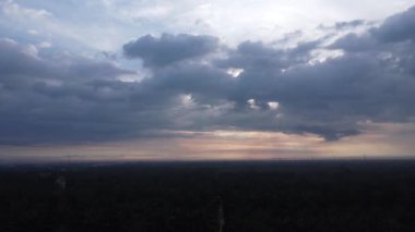 drone hovering around the palm oil tree plantation and its environmental vegetation scene.