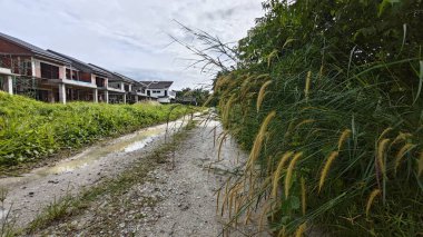 Kırsal kesimdeki kırsal kesime doğru olan perspektif boyunca durgun yağmur suyu havuzu 