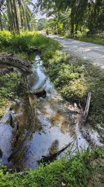 Kırsal kesimdeki insanların nehir yaptığı ya da palmiye yağı tarlalarında aktığı bir yer..