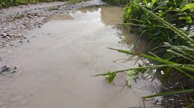 Kırsal kesimdeki kırsal kesime doğru olan perspektif boyunca durgun yağmur suyu havuzu 