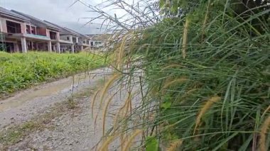 Kırsal kesimdeki kırsal kesime doğru olan perspektif boyunca durgun yağmur suyu havuzu 