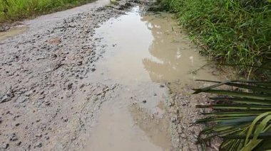 Kırsal kesimdeki kırsal kesime doğru olan perspektif boyunca durgun yağmur suyu havuzu 