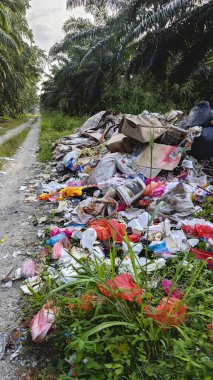 Perak, Malezya. Ekim 27. 2025: KgKoh çiftliğindeki açık alanda yakılacak atık madde yığınlarıyla dolu bir çöp sahasının manzarası.