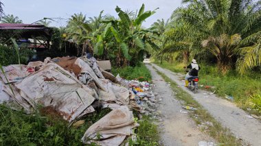 Perak, Malezya. Ekim 27. 2025: KgKoh çiftliğindeki açık alanda yakılacak atık madde yığınlarıyla dolu bir çöp sahasının manzarası.