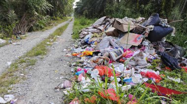 Perak, Malezya. Ekim 27. 2025: KgKoh çiftliğindeki açık alanda yakılacak atık madde yığınlarıyla dolu bir çöp sahasının manzarası.