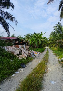 Perak, Malezya. Ekim 27. 2025: KgKoh çiftliğindeki açık alanda yakılacak atık madde yığınlarıyla dolu bir çöp sahasının manzarası.
