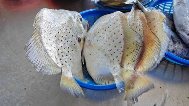 Islak markette satılık birkaç taze leke kalmış..