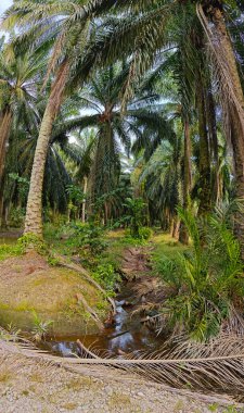 Nehirde kırsal tıkanıklık var ya da toprak toprak yolda ya da tarla yolunda akıntı var..