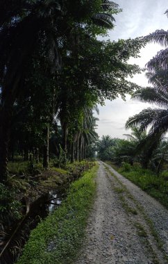Nehirde kırsal tıkanıklık var ya da toprak toprak yolda ya da tarla yolunda akıntı var..