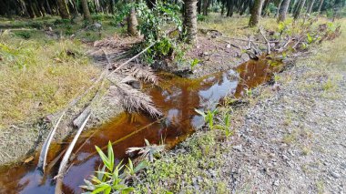 Nehirde kırsal tıkanıklık var ya da toprak toprak yolda ya da tarla yolunda akıntı var..