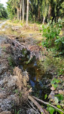 Nehirde kırsal tıkanıklık var ya da toprak toprak yolda ya da tarla yolunda akıntı var..