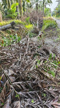 Nehirde kırsal tıkanıklık var ya da toprak toprak yolda ya da tarla yolunda akıntı var..