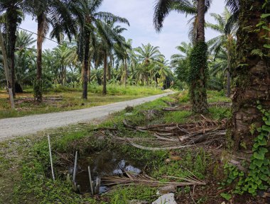 Nehirde kırsal tıkanıklık var ya da toprak toprak yolda ya da tarla yolunda akıntı var..