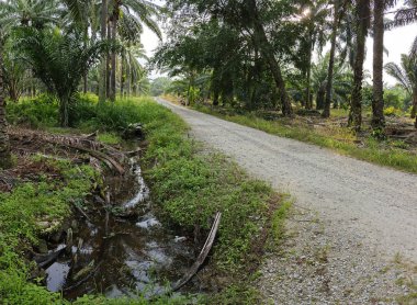Nehirde kırsal tıkanıklık var ya da toprak toprak yolda ya da tarla yolunda akıntı var..