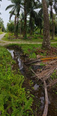 Nehirde kırsal tıkanıklık var ya da toprak toprak yolda ya da tarla yolunda akıntı var..
