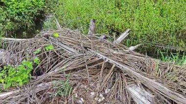 Nehirde kırsal tıkanıklık var ya da toprak toprak yolda kanalizasyon var..