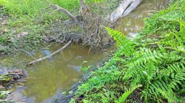 Nehirde kırsal tıkanıklık var ya da toprak toprak yolda kanalizasyon var..