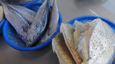 Naylon kaplarda satılık taze benekli hastalıkların görüntüsü.. 