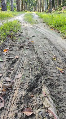 Tekerlek izleri ya da kırsal alanda bırakılan izler..