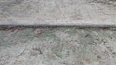 Tekerlek izleri ya da kırsal alanda bırakılan izler..