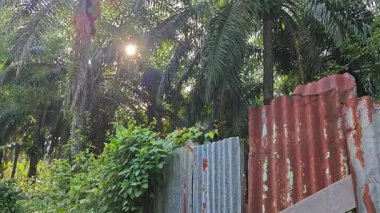 Paslı çinko çatı örtüsü, çiftliğe giriş kapısı olarak kullanılıyor.. 