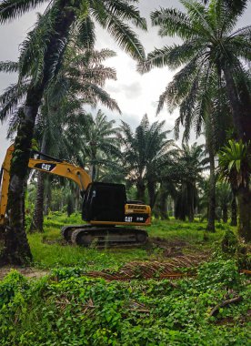 Perak, Malezya. 10 Kasım 2025: Çekiç tarım buldozerli Tırtıl Kazıcısı, izole Palm Petrol Çiftliği 'ne park etmiş pist tipi traktör, Kg Koh.
